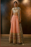 Sana Safinaz Nura Vol-II Festive Collection'23 | N232-004-CT