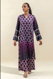 BeechTree Pritend Co-Ord Fall Winter Collection‘23 - Vol I | 2 PC - Printed Linen Suit - Blooming Dales